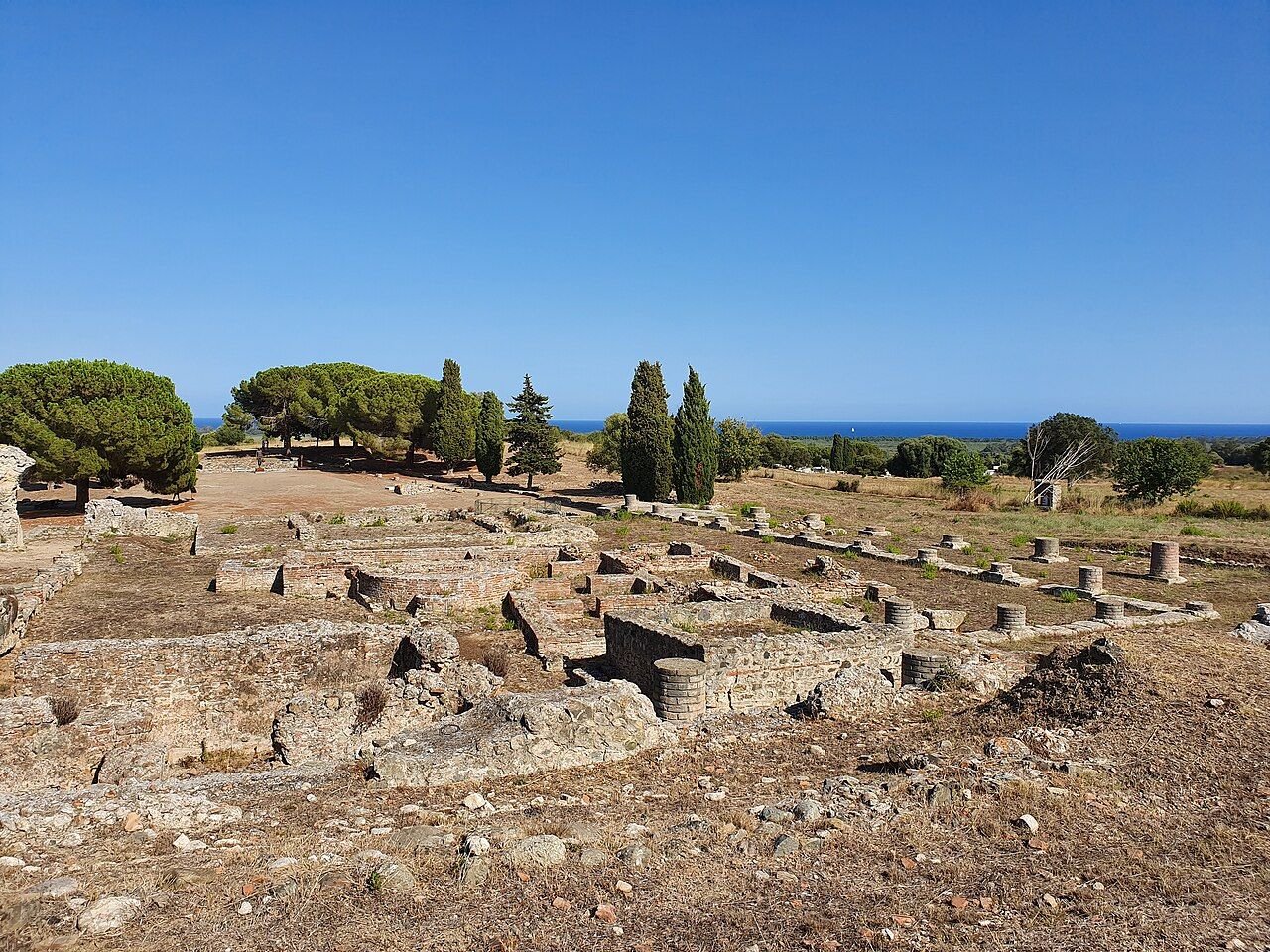 Vestiges de la ville romaine d'Aléria : murs arasés et bases de colonnes au premier plan, pins et cyprès, la mer à l'horizon sous un ciel bleu