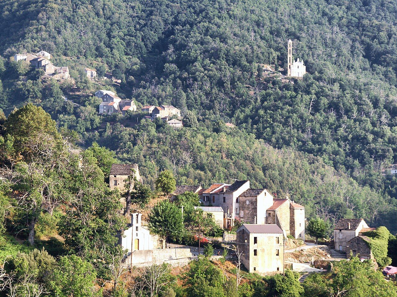 Le village d’Alzi au premier plan, ses maisons de pierre dans la verdure ; à l’arrière-plan, sur le versant boisé, Piedicorte-di-Bozio et l’église Saint-André