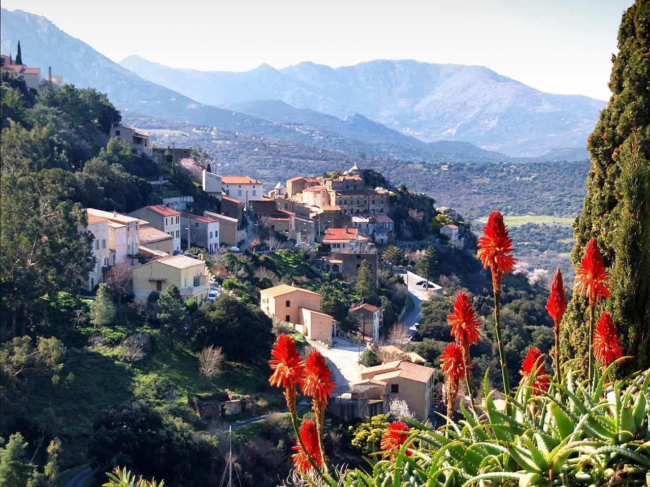 Les maisons de Belgodère étagées sur la pente, vues depuis la route T301, avec des aloès en fleurs au premier plan et les montagnes de Balagne au loin