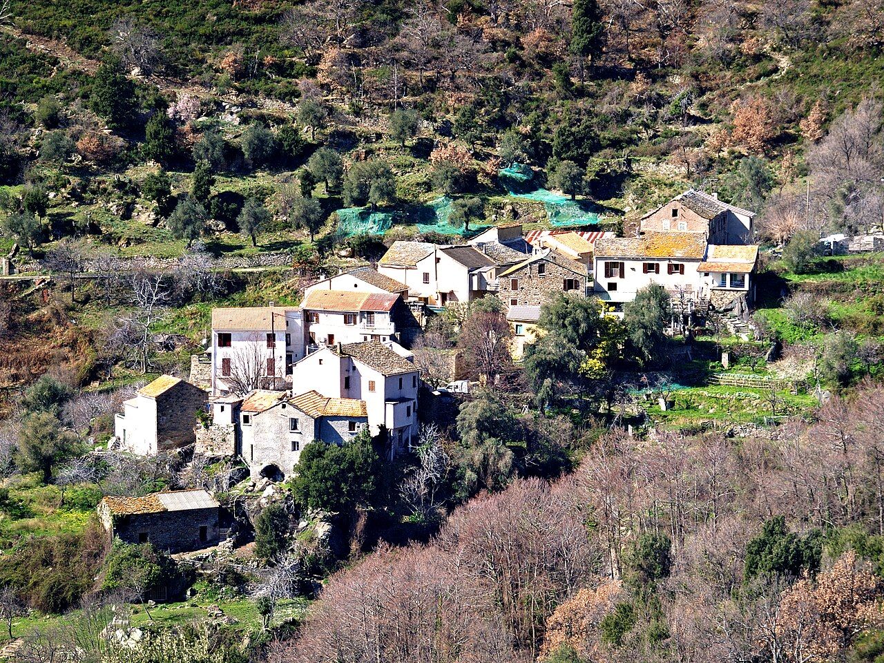 Le hameau de Panicale, à Campitello : maisons de pierre étagées sur une pente couverte de jardins et de maquis