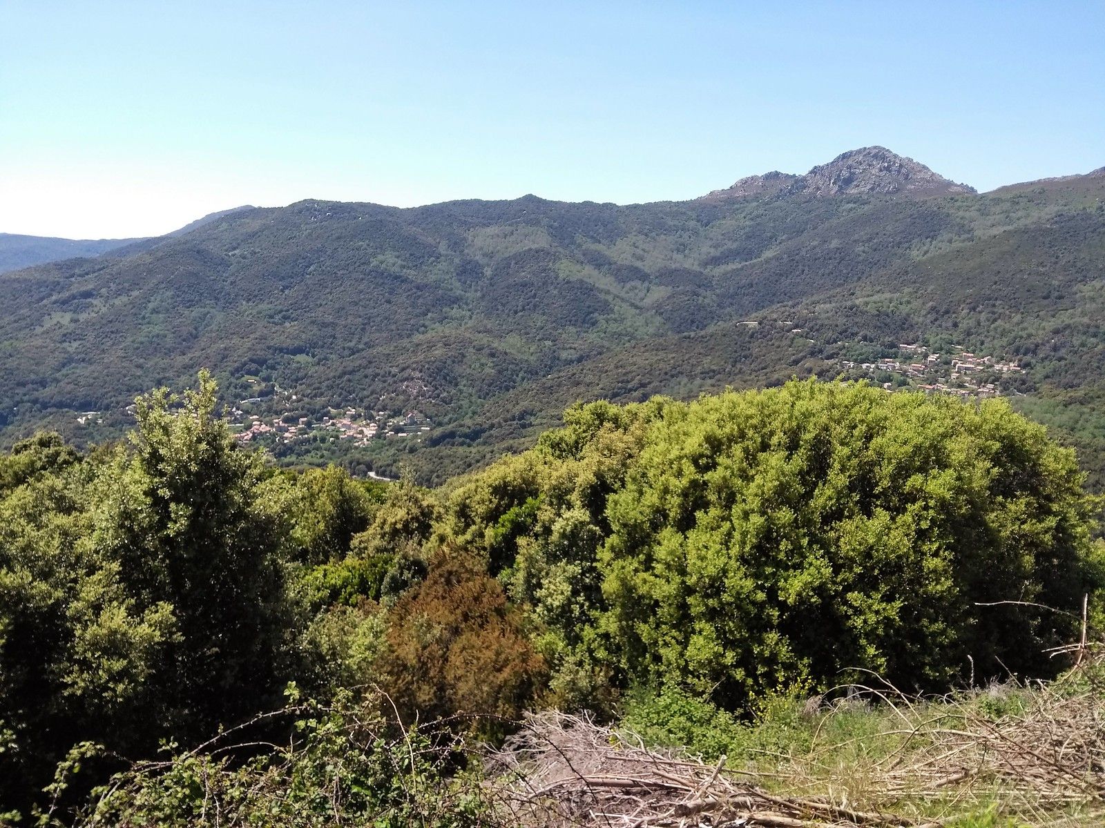 Montagnes boisées de la vallée du Taravo, photographiées en 2019 sur le territoire de Frasseto, commune voisine de Quasquara (aucune photo libre du village de Quasquara n’est disponible)