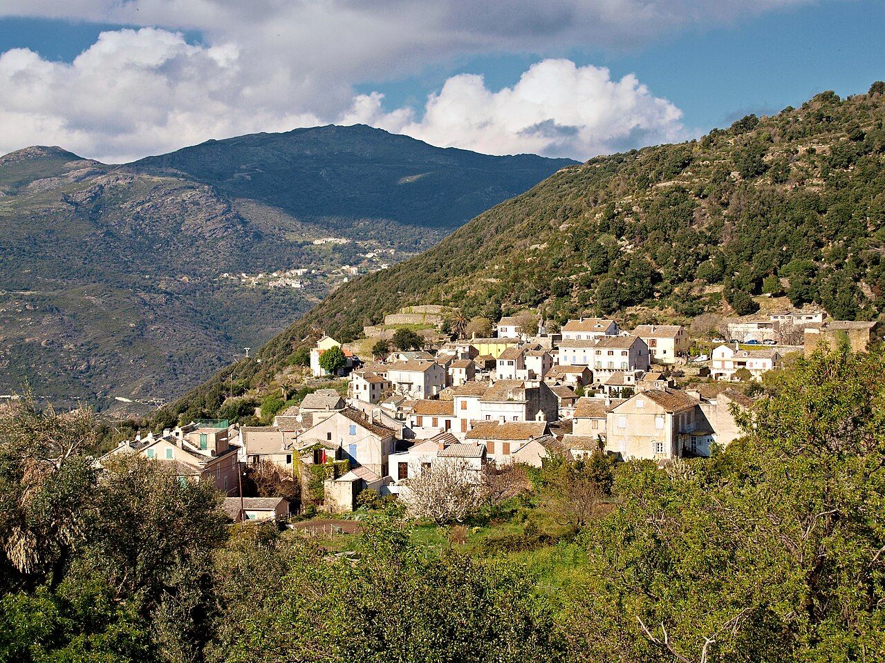 Le hameau de Vignale, à Canari : maisons claires étagées sur une pente verte, montagnes du cap Corse en arrière-plan