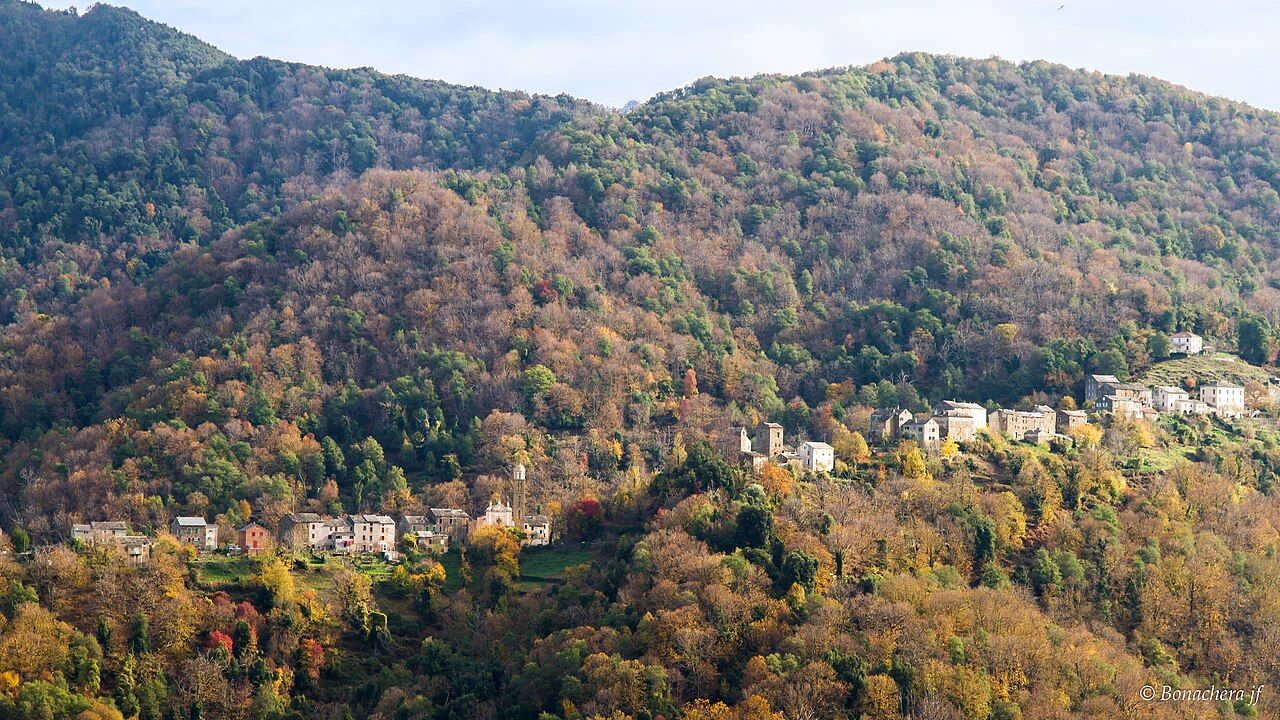 Les maisons de Carcheto-Brustico dispersées sur un versant boisé de châtaigniers aux couleurs d’automne