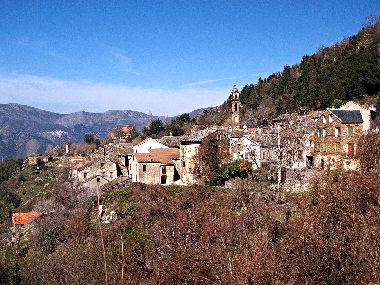 Le village de Pastoreccia, à Castello-di-Rostino, accroché à une pente boisée, avec le clocher de l’église Sainte-Marie de Baranciasche en arrière-plan