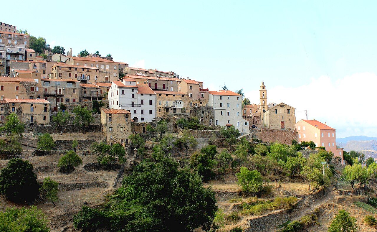 Les maisons de Castifao alignées sur la crête, avec le clocher de l’église Saint-Nicolas, au-dessus de terrasses plantées