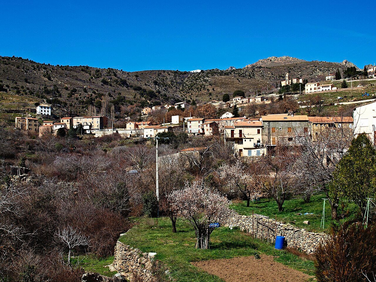 Le village de Corscia étagé sur un versant de montagne, ses maisons, son église et des jardins en terrasses aux arbres en fleurs