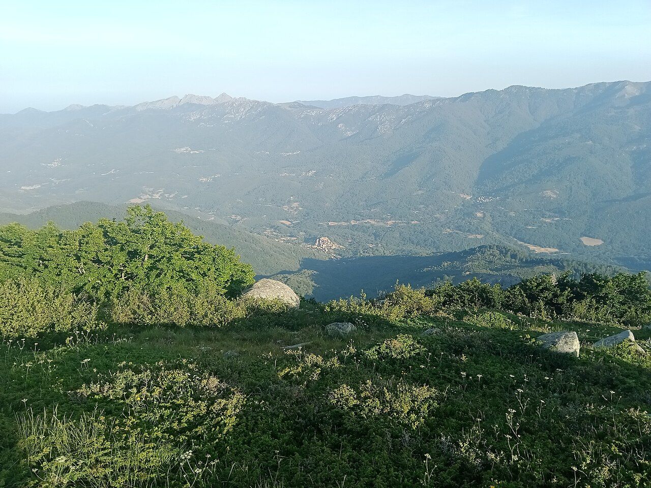 La haute vallée du Taravo vue depuis la Punta di l'Usciolu, avec les montagnes boisées qui entourent Cozzano