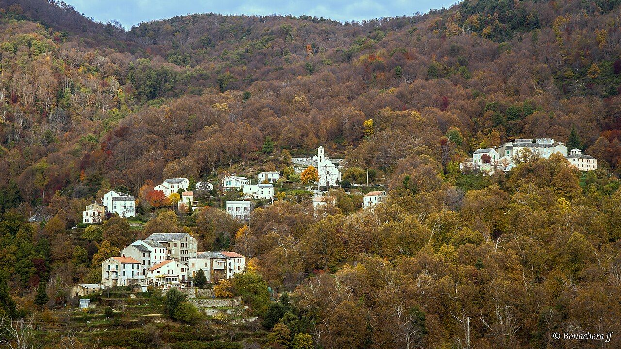 Felce et le hameau de Volgheracciu : maisons claires dispersées sur une pente couverte de châtaigniers aux couleurs d’automne
