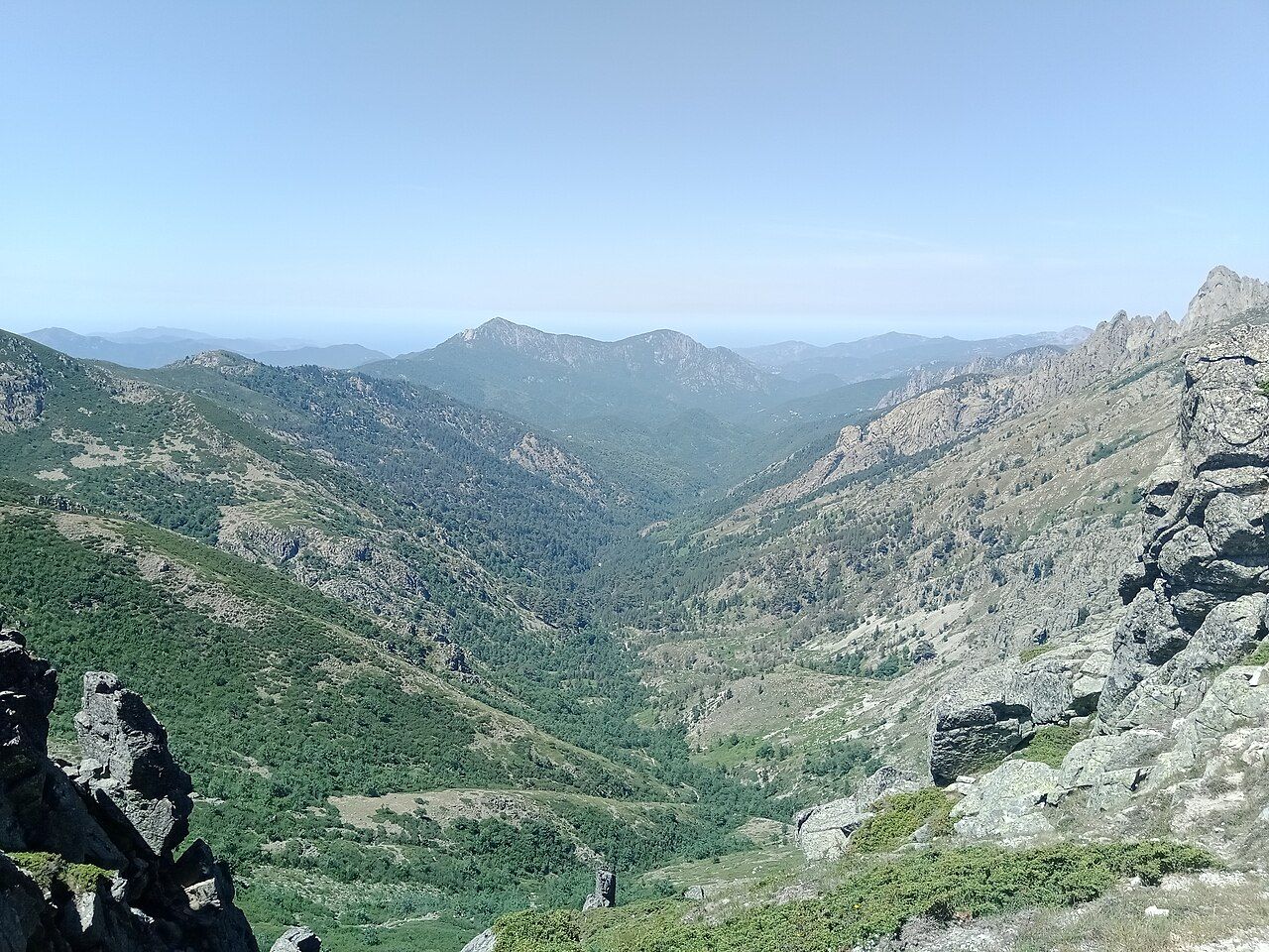 Le Monte Cervellu et une vallée boisée vus depuis Bocca Manganello, col de montagne de la commune de Guagno