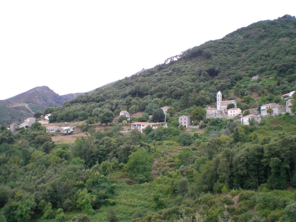 Le village de Loreto-di-Tallano à flanc de colline boisée, ses maisons de pierre et le clocher de l’église Saint-Pierre