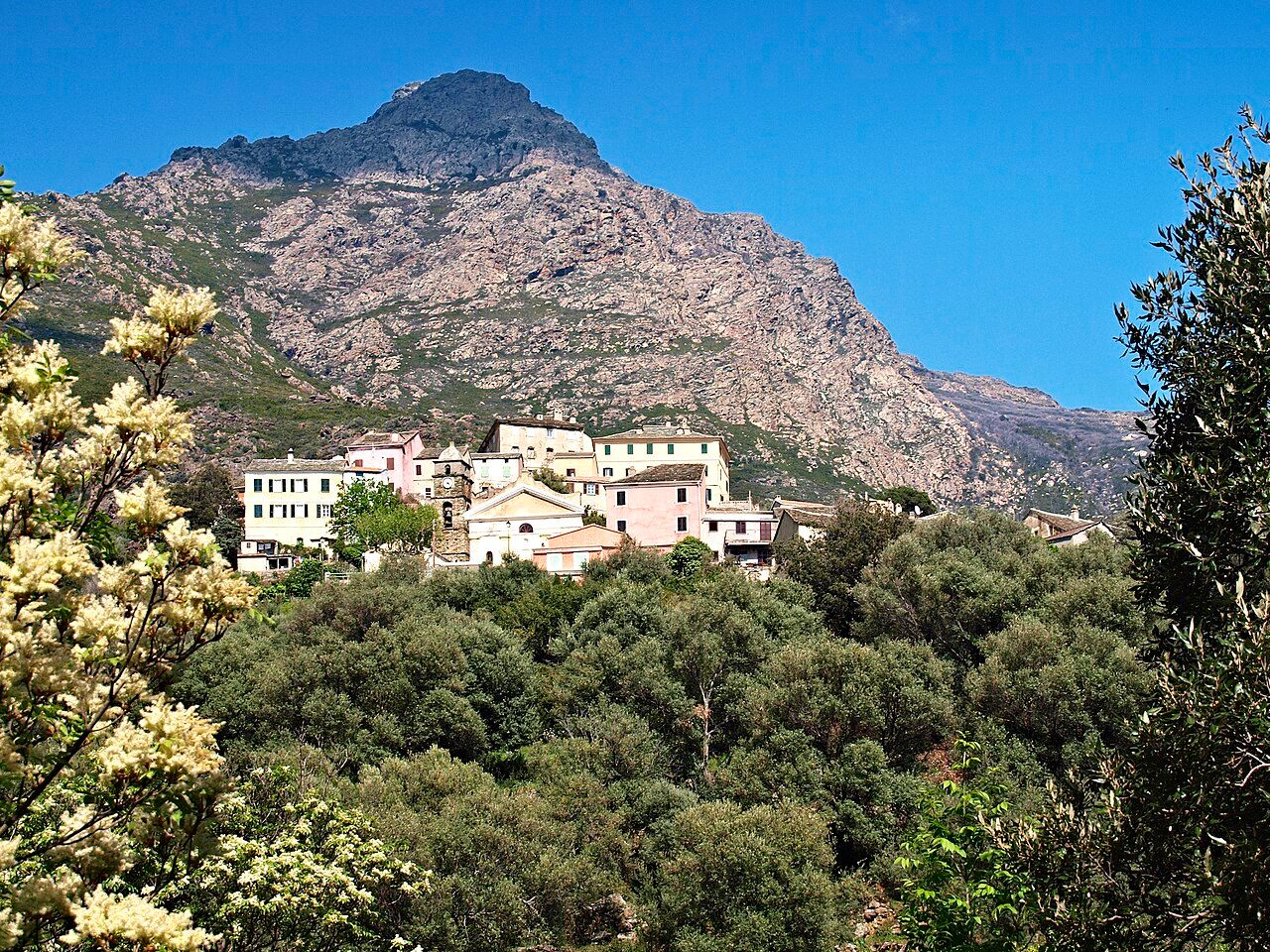 Le village d’Ogliastro, maisons claires au-dessus d’un versant boisé, dominé par une haute montagne rocheuse
