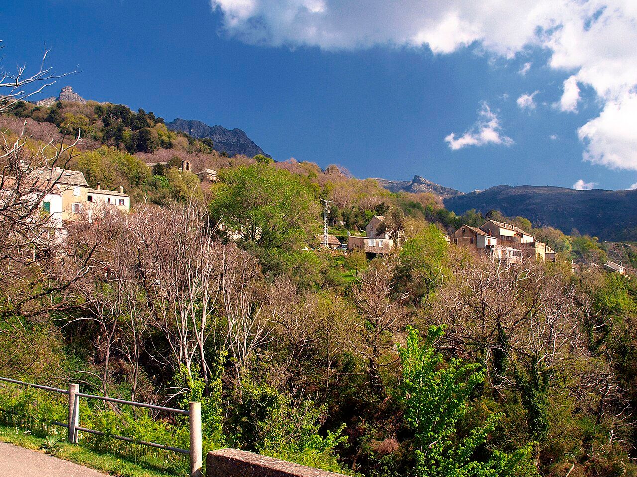 Le hameau de Ferragini, à Olcani : quelques maisons parmi les arbres, sur fond de montagnes du cap Corse et de ciel nuageux