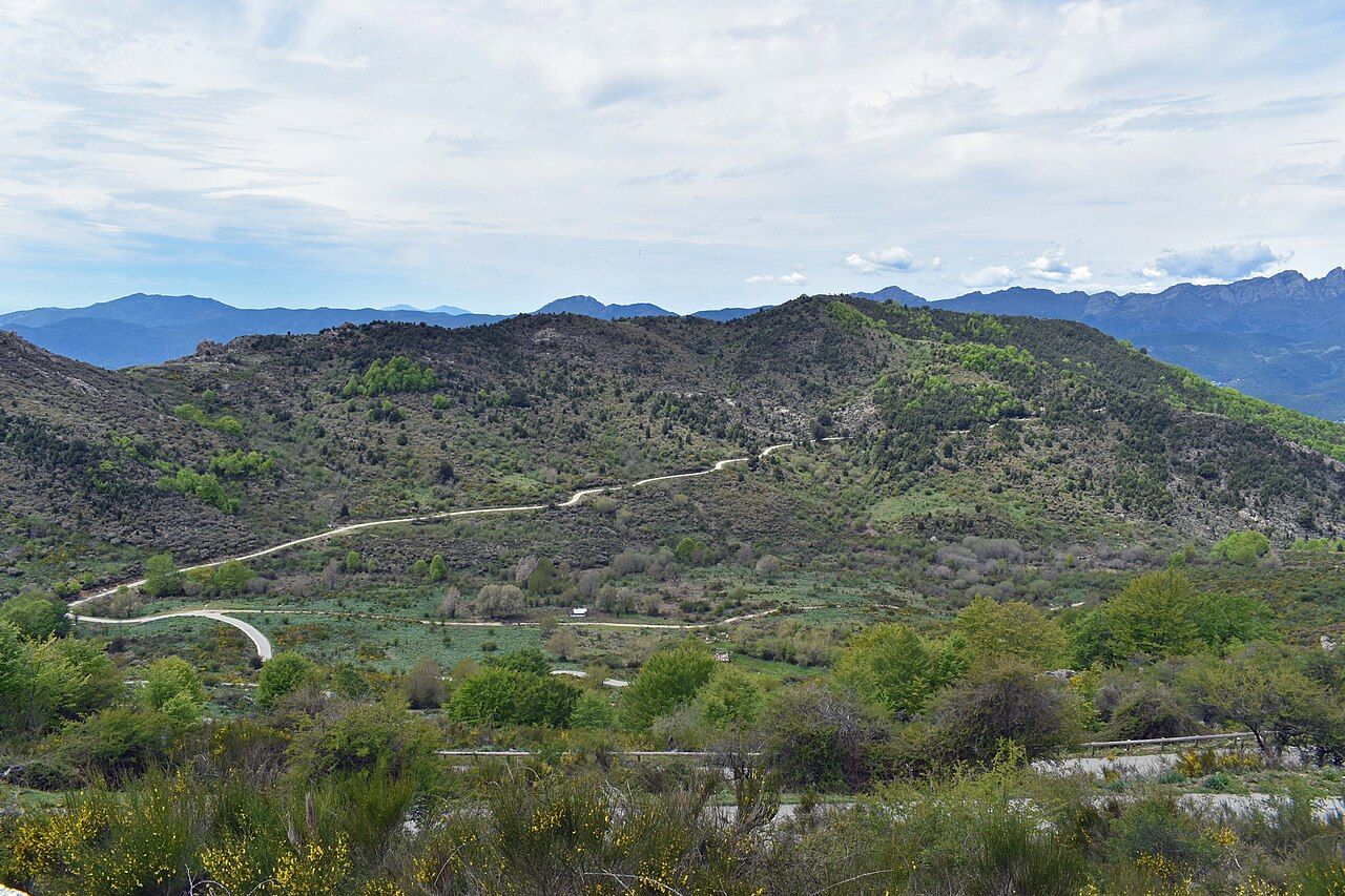 Collines de maquis et montagnes de l’intérieur vues depuis le col de la Vaccia, à quelques kilomètres d’Olivese (hors du territoire de la commune)