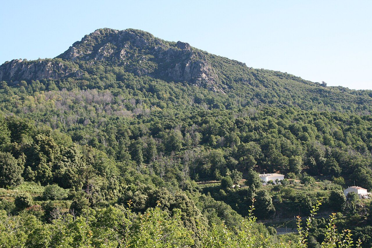 Le Monte Sant’Angelo, sommet boisé qui domine la piève de Casacconi où se trouve Olmo, photographié depuis le village voisin de Piano