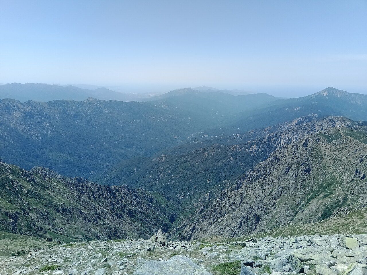 La vallée boisée et la forêt de Pastricciola vues depuis la pointe de Pinzi Corbini, avec les montagnes et la mer au loin