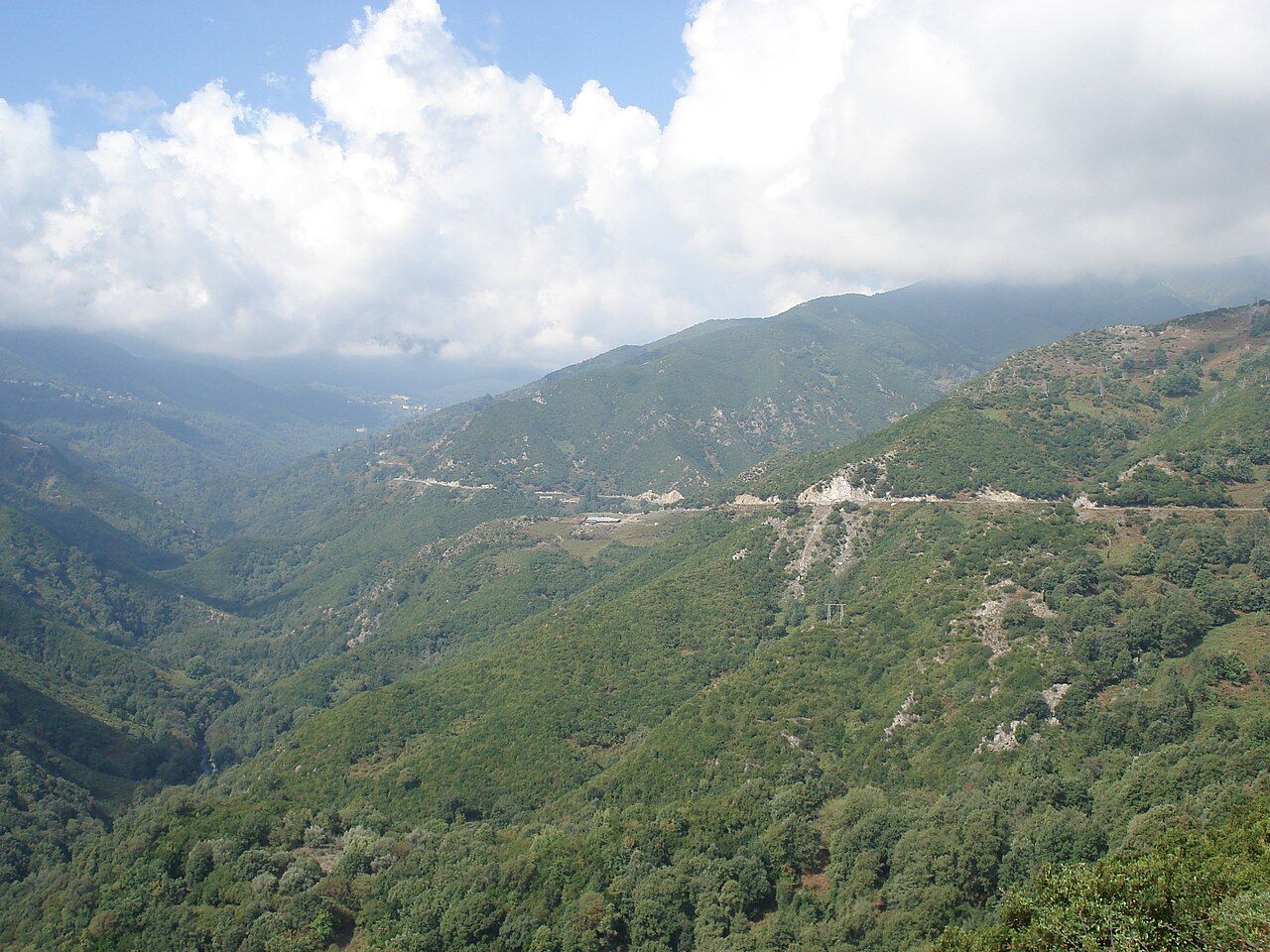Versants boisés de la vallée de l’Alesani, photographiés depuis Sant’Andréa-di-Cotone ; Pietricaggio se trouve plus haut dans cette vallée