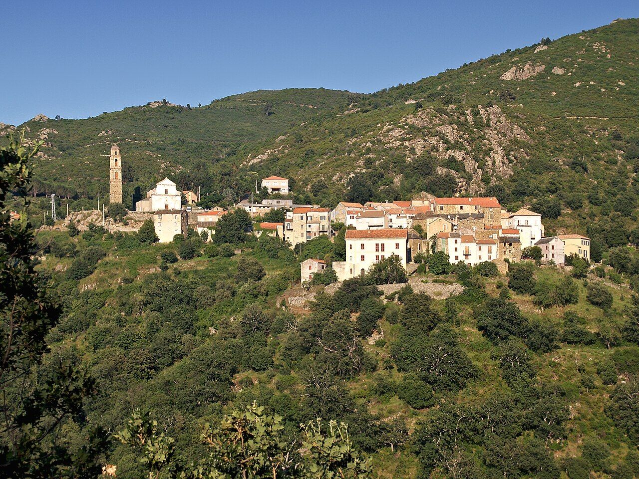 Le village de Piève sur son versant boisé, avec le clocher isolé de l’église San Quilico à gauche des maisons