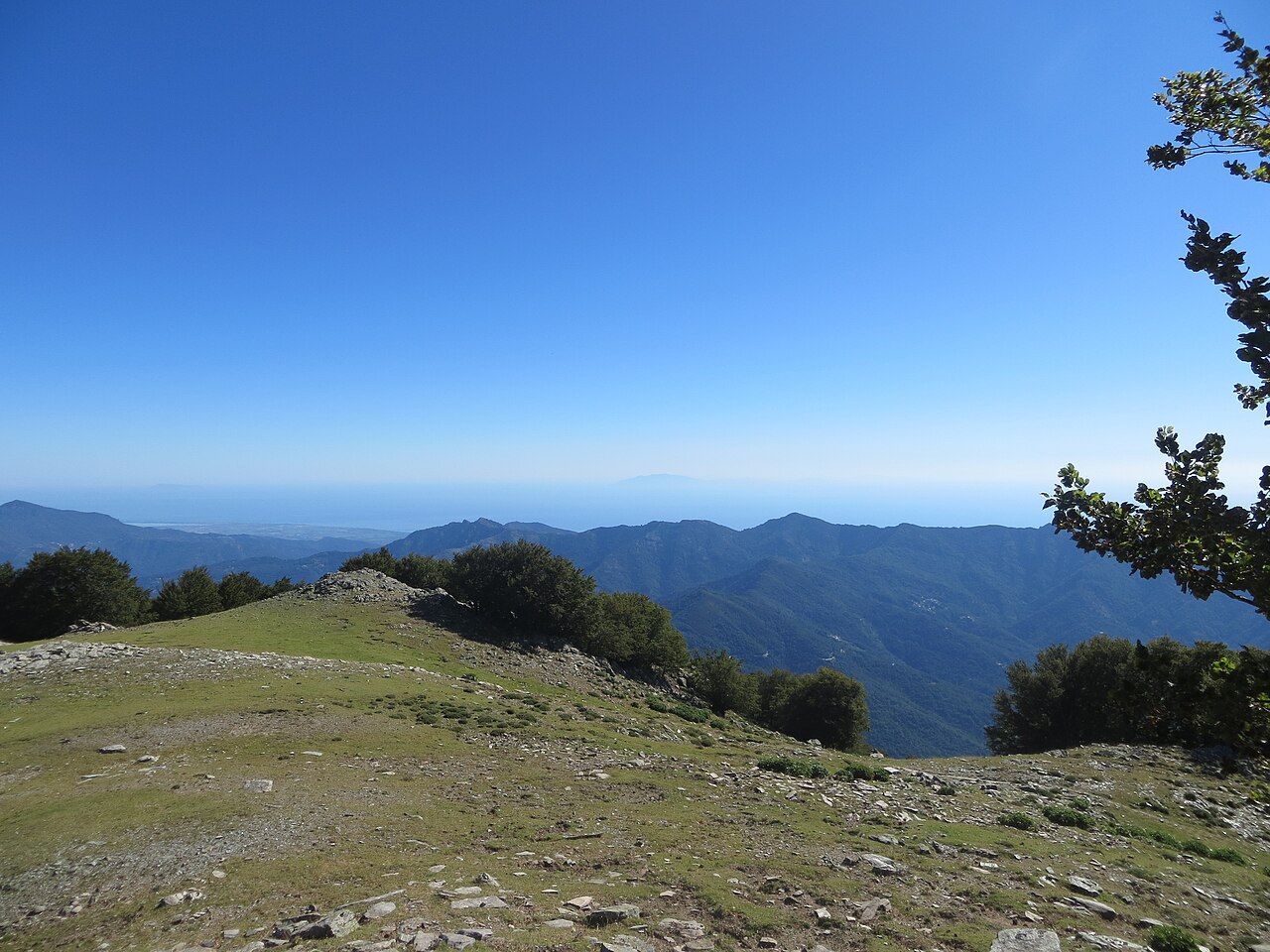 Vue depuis la Punta di Caldane, sommet de la dorsale qui ferme la Castagniccia à l’ouest, sur les montagnes boisées et la mer au loin ; Piobetta se trouve sur ce versant