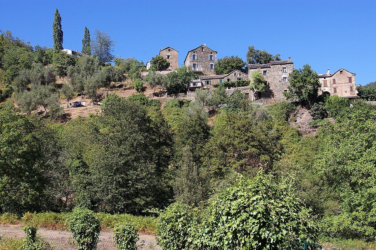 Les maisons de pierre de Poggio-Marinaccio alignées en haut d’un versant boisé, sous un ciel bleu d’été