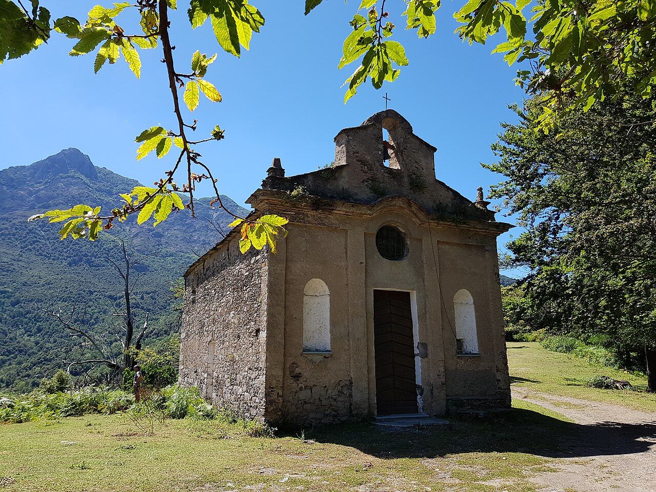 La chapelle Saint-Christophe de Polveroso, petit édifice de pierre à clocher-mur, sous des branches de châtaignier, avec un sommet de la Castagniccia en arrière-plan
