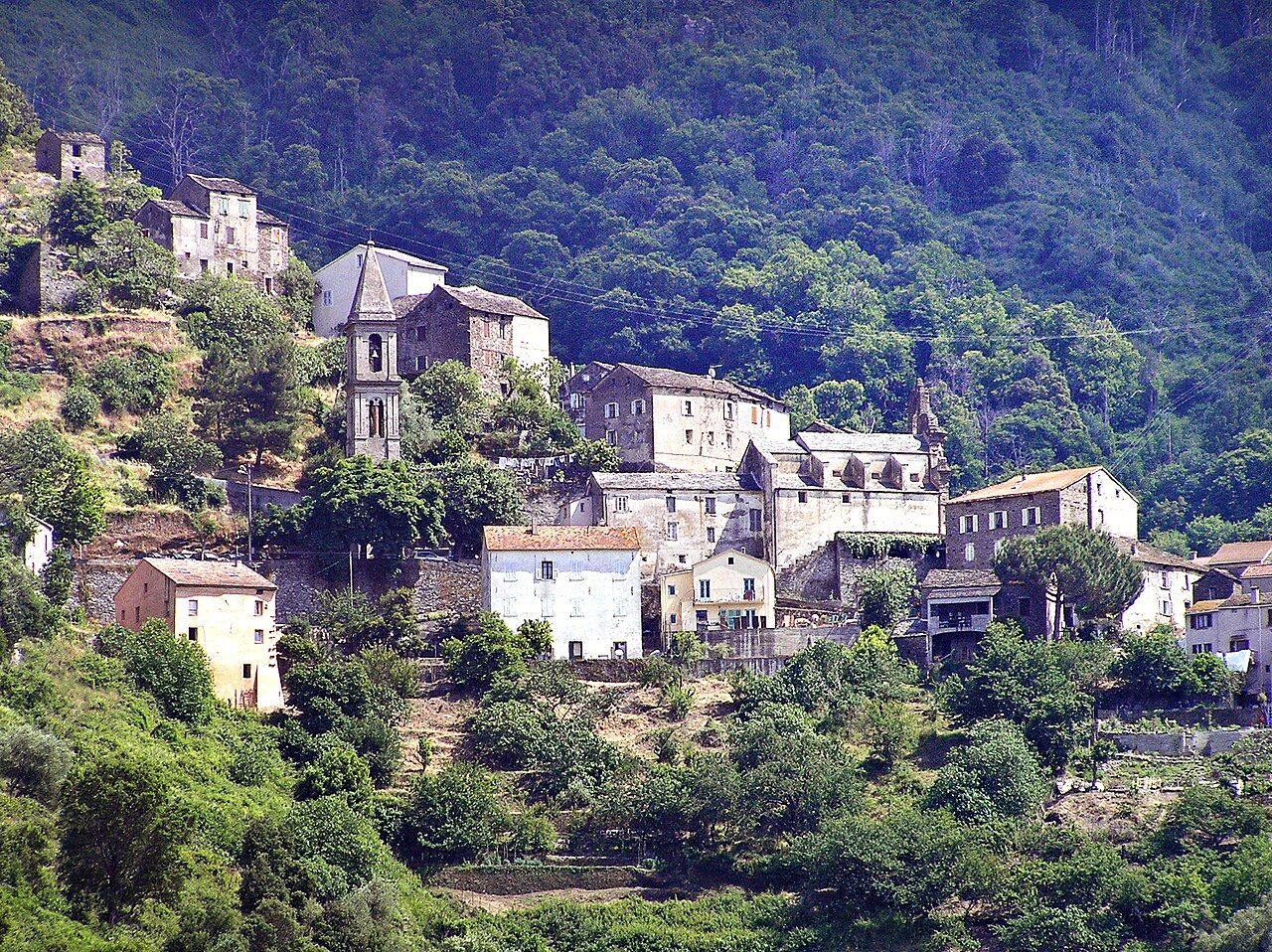 Le village de Prunelli-di-Casacconi à flanc de colline boisée, avec ses hautes maisons de pierre et le clocher pointu de son église