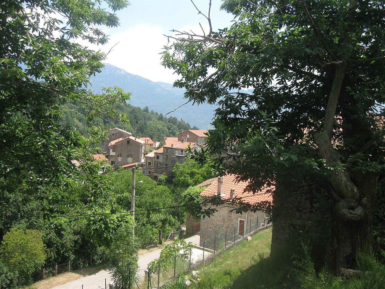 Maisons de Tasso aux toits de tuiles, vues entre les arbres depuis le haut du village