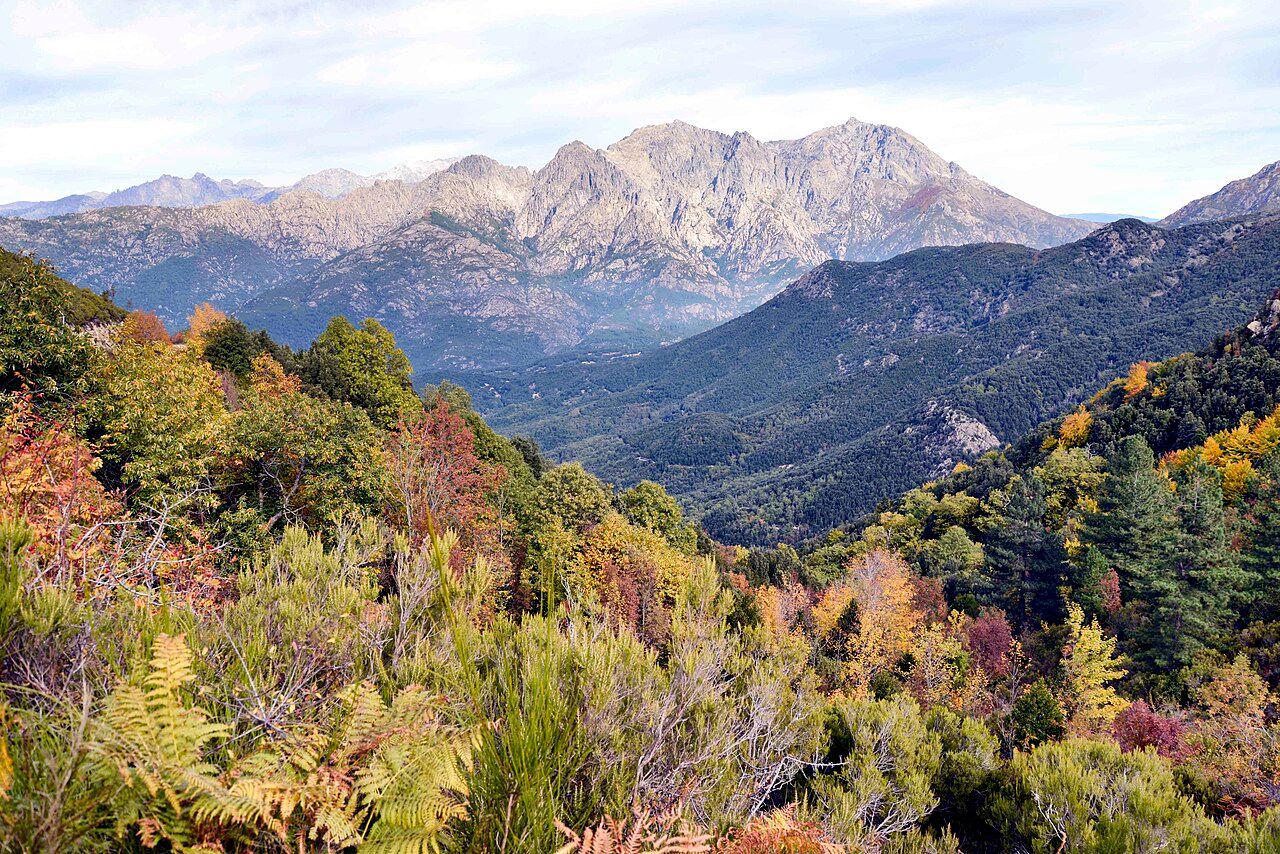 Maquis et arbres aux couleurs d’automne sur le territoire de Tavera, vus depuis le col de Scalella, avec au fond la ligne de crête du Monte d’Oro