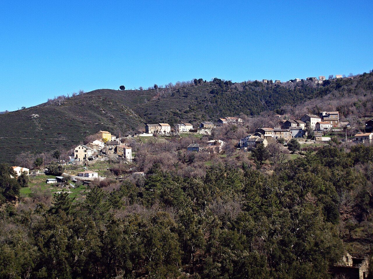 Les maisons de Valle-di-Rostino dispersées à flanc de colline, au-dessus d’un vallon boisé