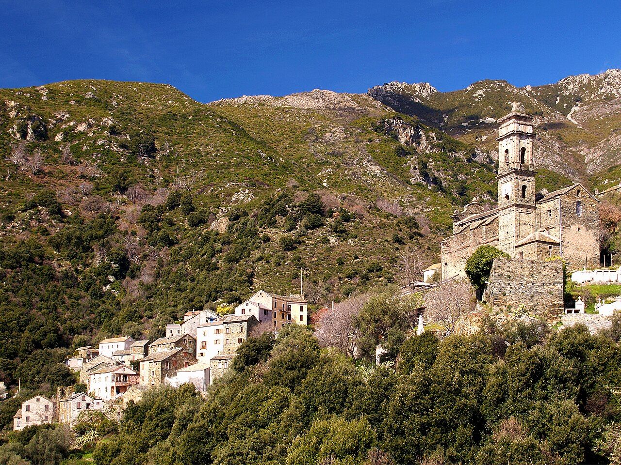 Le village de Volpajola, ses maisons claires étagées sur une arête et le haut clocher de son église, sur un versant de maquis et de rochers