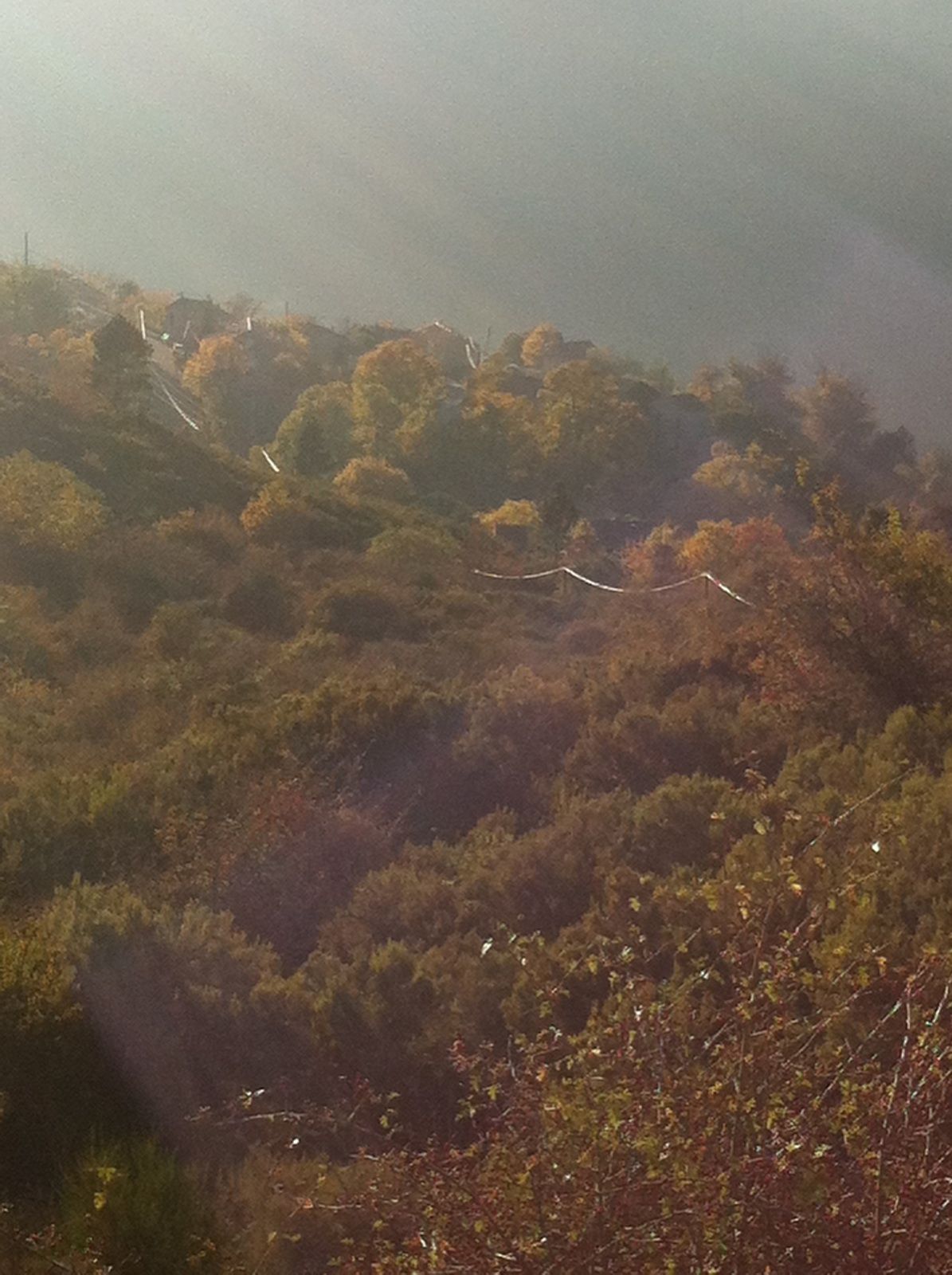 Vue d’automne sur le village de Zérubia dans la brume, ses maisons entourées d’arbres aux feuillages roux au-dessus d’une pente de maquis